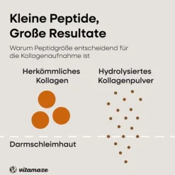 Kollagen Pulver + Biotin + Vitamin C, 480 g><noscript><img width=