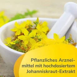 Laif 900 Balance Filmtabletten, 60 St><noscript><img width=