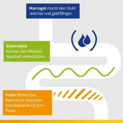 Laxatan M Granulat zur Herstellung einer Suspension zum Einnehmen , 10 St