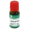 Arcana Ledum LM 18 Dilution, 10 ml> L