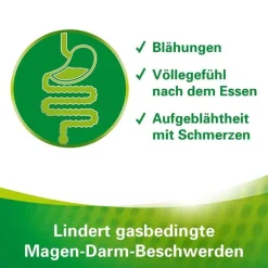 Lefax Enzym Kautabletten, 100 St