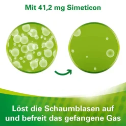 Lefax Enzym Kautabletten, 100 St