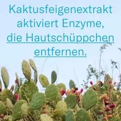 Leti balm Repair Fußpflegecreme, 100 ml><noscript><img width=