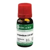 Lycopodium Arcana LM 24 Dilution, 10 ml