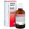 Mahonia Gastreu R 65 Tropfen zum Einnehmen, 50 ml