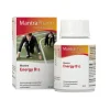 Mantra Energy B12 Kapseln, 90 St> Ginseng|Erschöpfung