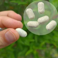 Dr. Jacobs Melissen Basentabletten, 250 St><noscript><img width=