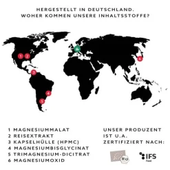 Molekuel Premium Magnesiumkomplex, 120 St