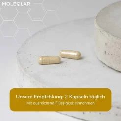 MoleQlar Longevity Regenad Kapseln, 60 St><noscript><img width=