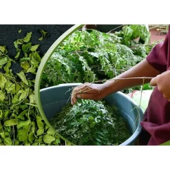 Moringa 100% Bio Tabletten a 400 mg pur, 120 g