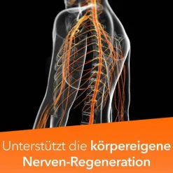 Neuropax -ratiopharm forte Kapseln, 40 St> Hirnleistung & Nerven