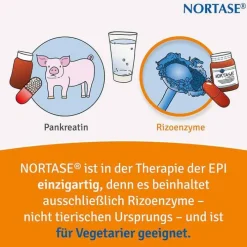 Nortase Kapseln vegetarische Verdauungsenzyme, 200 St><noscript><img width=