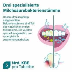 Nupure probadent forte 3 Bakterien Kulturen 5 Mrd. KBE Lutschtabletten, 30 St