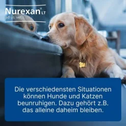 Nurexan LT ad us. vet. Tabletten, 100 St