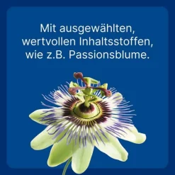 Nurexan LT ad us. vet. Tabletten, 100 St