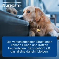 Nurexan LT ad us. vet. Tabletten, 500 St