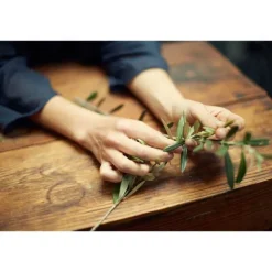 Oliveda Gesichtscreme Hydroxytyrosol Corrective, 60 ml