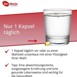 Dr. Wolz Omega 3 Fettsäuren 500 mg / 60% Kapseln, 60 St><noscript><img width=