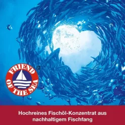 Omega 3-Loges plus Kapseln, 60 St