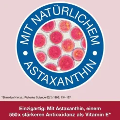 Omega 3-Loges plus Kapseln, 60 St