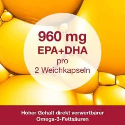 Omega 3-Loges plus Kapseln, 120 St