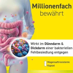 Omniflora N Probiotika Kapseln für die Darmflora, 100 St><noscript><img width=