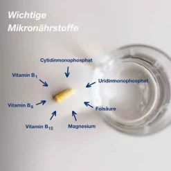 Orthomol neuro Kapseln, 30 St