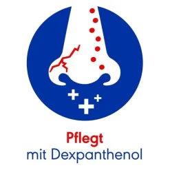 Otriven Protect Schnupfen Nasenspray (Dosierspray), 10 ml> Schnupfen & Nasennebenhöhlen