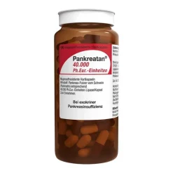 Pankreatan 40.000 Ph.Eur.-Einheiten magensaftresistent Hartkapseln , 100 St