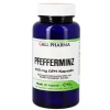 Hecht Pharma Pfefferminz 450 mg GPH Kapseln, 90 St> Verstopfung