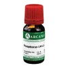 Phosphorus Arcana LM 60 Dilution, 10 ml