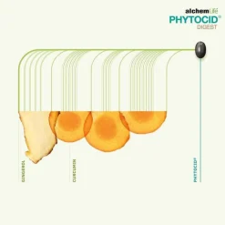 Phytocid Digest Kapseln, 15 St