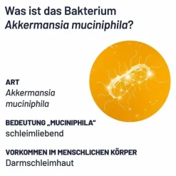 Probio-Cult AKK1 Akkermansia Syxyl Tabletten, 30 St