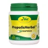 Cd Vet Propolis Herbal Kapseln vet. (für Tiere), 100 St> Aufbau & Leistungssteigerung|Aufbau & Leistung