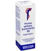 Weleda Prunus Spinosa Summitates D 8 Augentropfen, 10 ml> Auge & Ohr