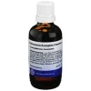Pulmonaria Komplex Hanosan flüssig, 50 ml