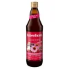 Rabenhorst schützen mit Zink Saft, 700 ml