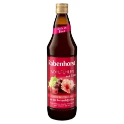 Rabenhorst Wohlfühlen mit Eisen Saft, 700 ml