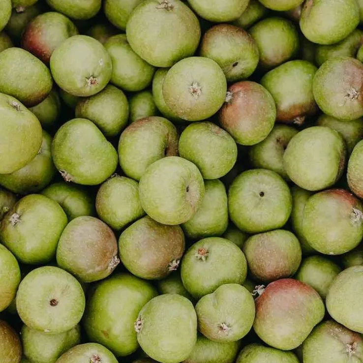 Rausch Anti-Pollution-Spray mit Schweizer Apfel, 100 ml