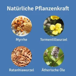 Repha OS Mund- und Rachenspray, 12 ml><noscript><img width=