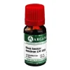 Rhus toxicodendron Arcana LM 30 Dilution, 10 ml