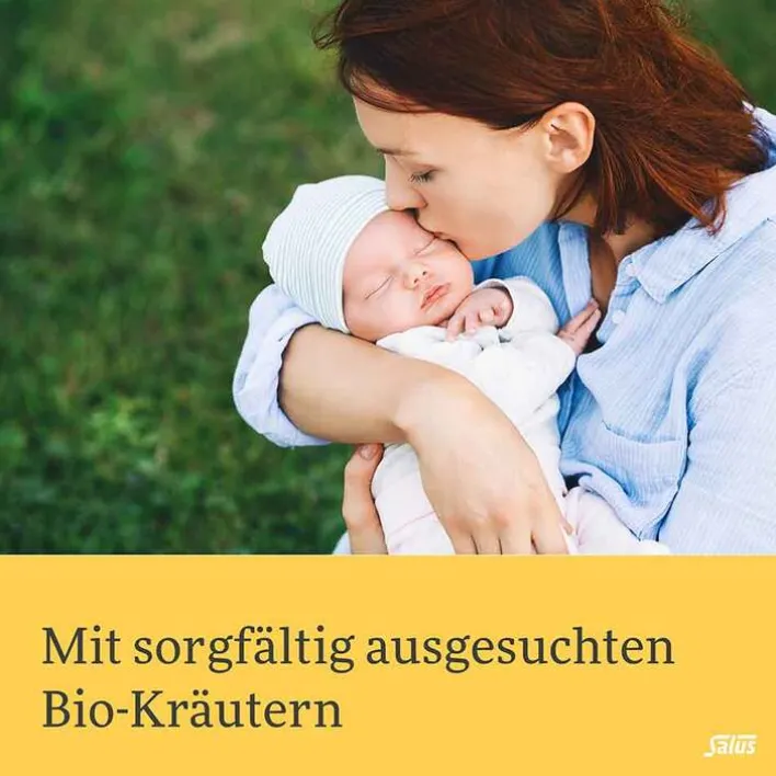 Salus Stilltee Bio Filterbeutel, 15 St> Bio Tee