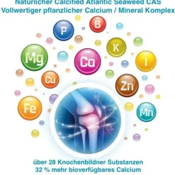 Sanomotion Strength K2 + D3 + Ca + Mg vegan Kapseln, 90 St><noscript><img width=