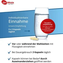 Dr. Wolz Sanuzella D Zellulose Kapsel, 60 St><noscript><img width=