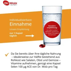 Dr. Wolz Selen ACE 100 µg 180 Tage Kapseln, 180 St><noscript><img width=