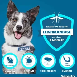 Seresto Halsband für große Hunde über 8 kg, 1 St