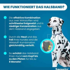 Seresto Halsband für große Hunde über 8 kg, 1 St