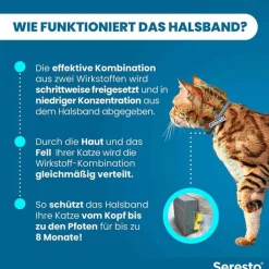 Seresto® Halsband für Katzen , 1 St