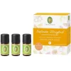 Set Duftendes Zitrusglück ätherisches Öl, 1 P