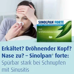 SINOLPAN® FORTE 200 mg Weichkapseln, 50 St